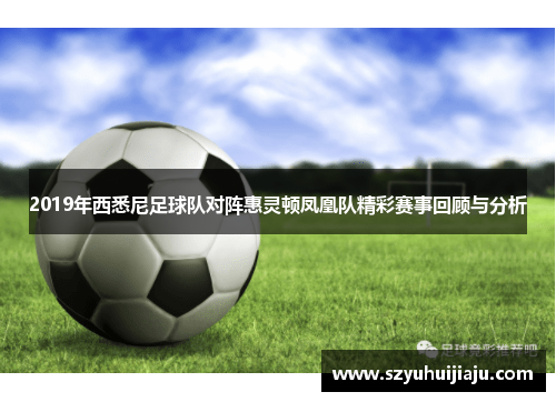 2019年西悉尼足球队对阵惠灵顿凤凰队精彩赛事回顾与分析