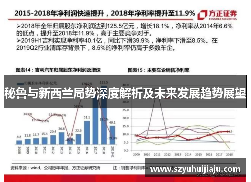 秘鲁与新西兰局势深度解析及未来发展趋势展望